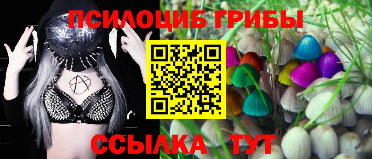 Псилоцибиновые грибы Cubensis  закладка  Губаха  Галлюциногенные грибы прущие грибы  Вход с VPN 